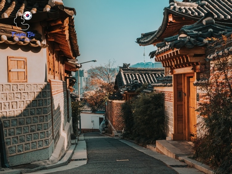 trượt visa hàn quốc