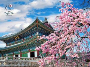 visa du lịch hàn quốc
