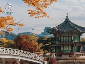 visa hàn quốc 5 năm